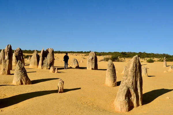 Μια Άποψη Του Pinnacles Κοντά Cervantes Στη Δυτική Αυστραλία — Φωτογραφία Αρχείου