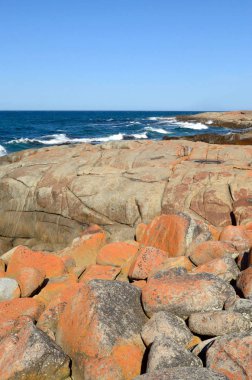 Tazmanya 'daki Four Mile Creek Sahili' nde renkli kaya manzarası