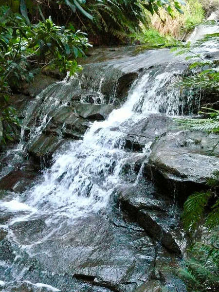 View Water Flowing Leura Cascades Blue Mountains West Sydney — Stock Photo, Image