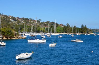 Sydney Limanı 'nda, Tükürük Köprüsü ile Clontarf Sahili arasında bir manzara. Bu fotoğraf Erkeksi Köprü Yürüyüşü sırasında çekildi..