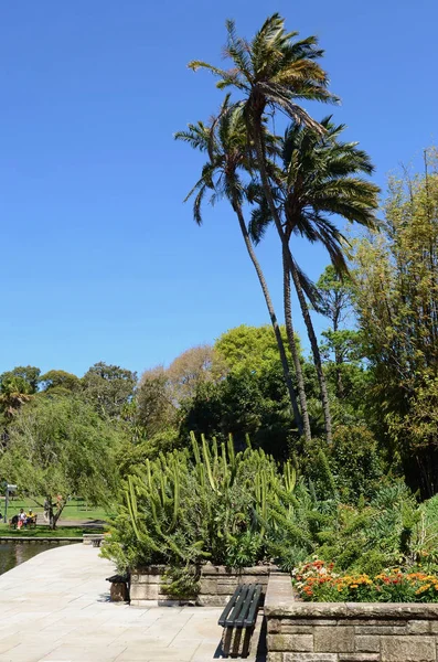 오스트레일리아 시드니에 식물원의 — 스톡 사진