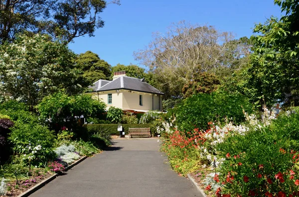 Sydney, Avustralya 'daki Royal Botanik Bahçeleri' nde bir sahne