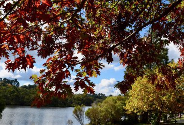 A view of Wentworth Falls lake in the Blue Mountains west of Sydney