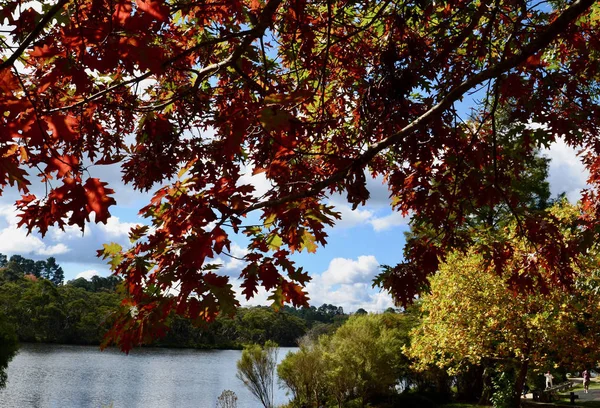 A view of Wentworth Falls lake in the Blue Mountains west of Sydney