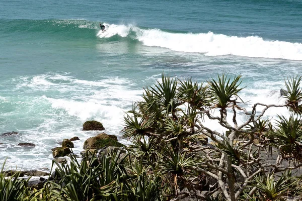 Vista Playa Cabarita Costa Norte Nsw Australia — Foto de Stock