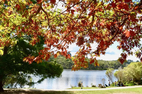 Vue Sur Lac Wentworth Falls Dans Les Blue Mountains Ouest — Photo