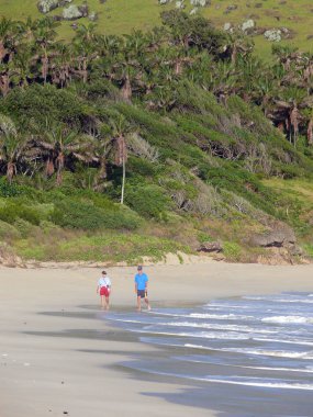 A view at Neds Beach on Lord Howe Island, Australia