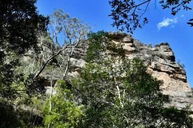 Sydney 'nin batısındaki Mavi Dağlar' da Büyük Kanyon 'da yürürken tepenin manzarası.