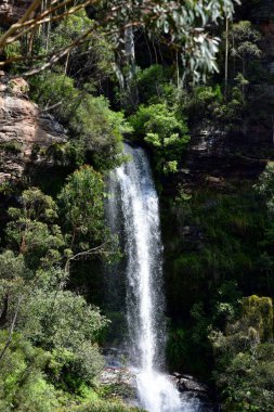 Sydney 'nin batısındaki Mavi Dağlar' daki Minnehaha Şelalesi manzarası.