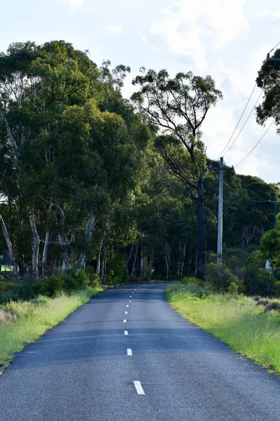 Сцена Сільській Дорозі Долині Мегвелл Австралія — стокове фото