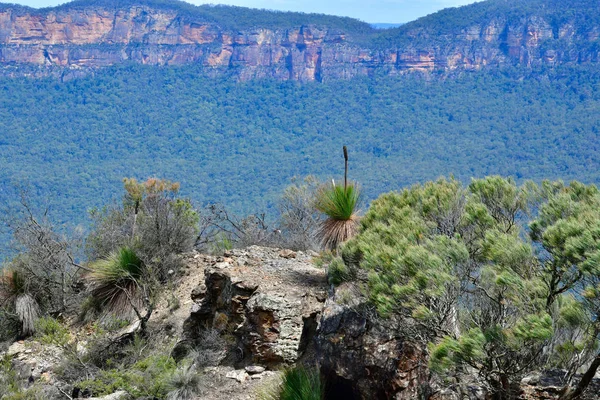 Uitzicht Blauwe Bergen Vanaf Brug Van Huwelijksreis Katoomba Australië — Stockfoto