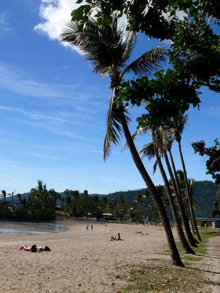 Μια Άποψη Του Airlie Beach Στην Τροπική Αυστραλία — Φωτογραφία Αρχείου