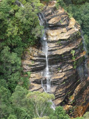 Sydney 'in batısındaki Mavi Dağlarda Leura' daki Gelin Şelalesi manzarası