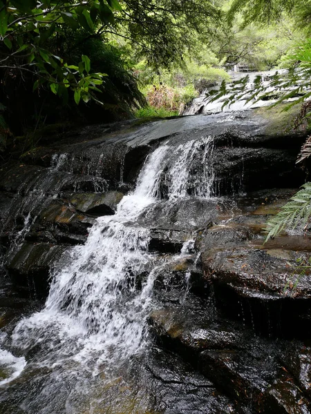 Del Leura Cascades Blue Mountains Väster Sydney — Stockfoto