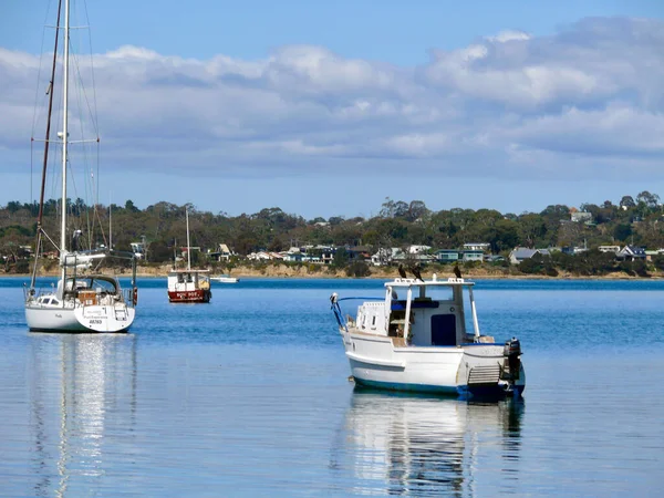 View Boats Derwent River Hobart Tasmania — Stock Photo, Image
