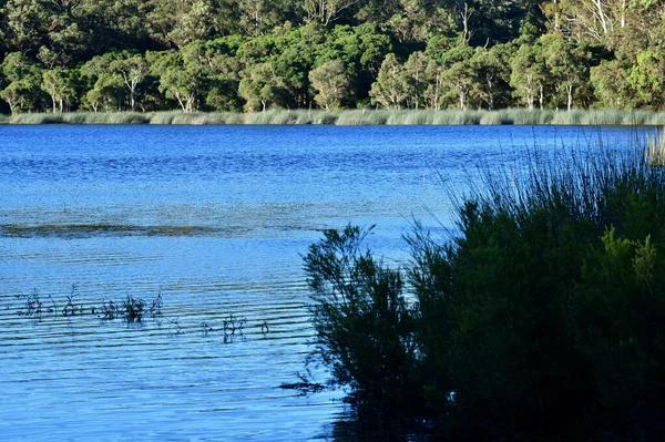 Widok Glenbrook Lagoon Niebieskich Górach Zachód Sydney — Zdjęcie stockowe