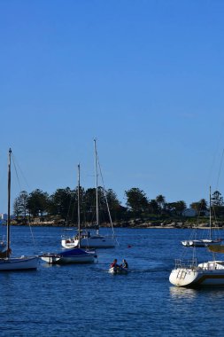 Sidney Limanı, Avustralya 'daki Lady Martins Sahili manzaralı.