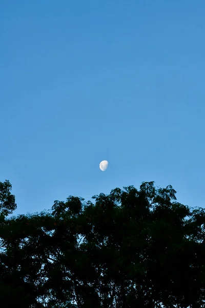 Uma Vista Lua Céu Tarde — Fotografia de Stock