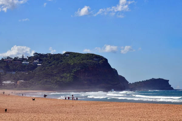 Avustralya, Yeni Güney Galler 'in merkez kıyısındaki kuzey Avoca Sahili manzarası