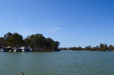 Mildura, Avustralya yakınlarındaki Murray Nehri manzarası