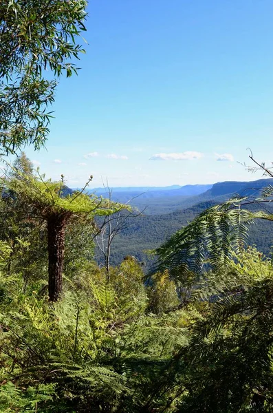 View Valley While Prince Henry Walk Blue Mountains West Sydney — Stock Photo, Image