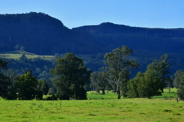 Ett Grönt Landsbygdslandskap Nära Kangaroo Valley Södra Höglandet New South — Stockfoto