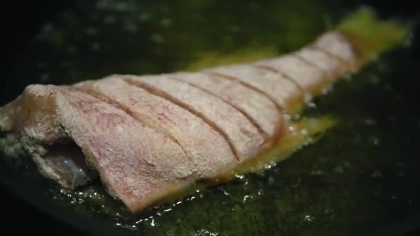 Raw Perch Fish Fried Pan Oil — ストック動画