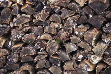 Doku, ağaç kabuğuyla kesilmiş odun..