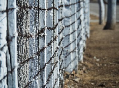 Paslı metal dikenli telli beyaz tahta direkler..