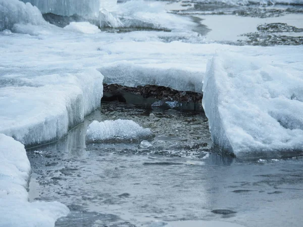 Large, dirty pieces of ice melt in the water and crawl onto each other.