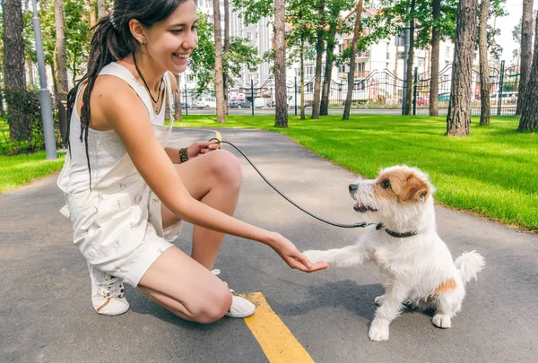 Młoda kobieta i pies drżenie rąk w lato Park Alley. — Zdjęcie stockowe