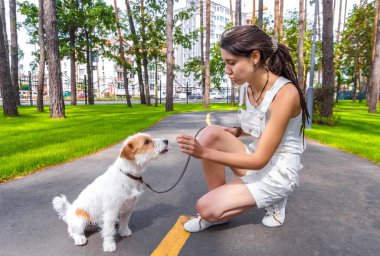 Genç kadın sahibi konuşmak için onu yaramaz köpek. Dil için insan gösterilen evde beslenen hayvan