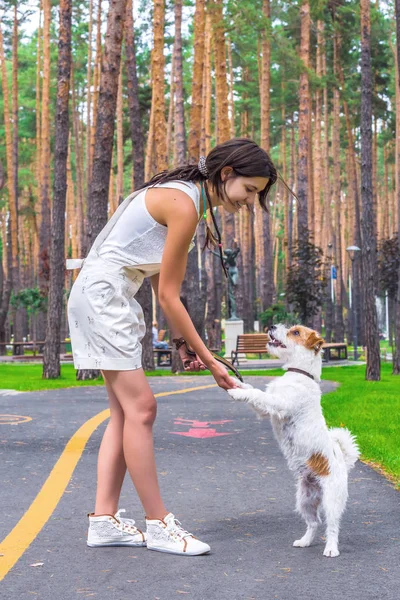 Młoda kobieta treningowych białego psa w parku — Zdjęcie stockowe