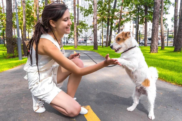 White dog and woman training in a park outdoors
