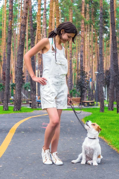 Dog and young woman owner looking on each other while walking in a summer park