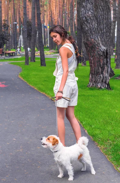 Femeia merge într-un parc cu un câine alb Fotografie de stoc