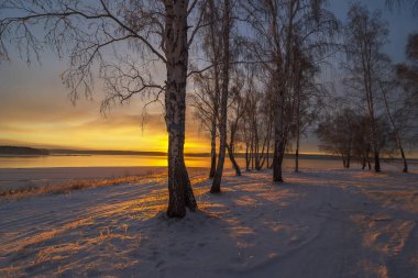 Baykal bölgesi. Sonbaharın sonunda. Gölün kıyısında güzel bir günbatımının ışınlarında birkaç huş ağacı. Gün batımı suya yansıdı. Göldeki su donmaya başladı..