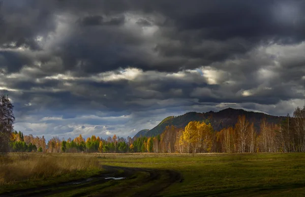 Słoneczna Łąka Tle Jesiennych Chmur Leśnych Burzowych — Zdjęcie stockowe