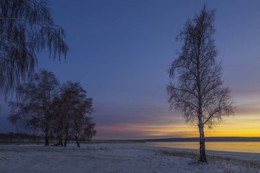 Baykal bölgesi. Sonbaharın sonunda. Gölün kıyısında güzel bir günbatımının ışınlarında birkaç huş ağacı. Gün batımı suya yansıdı. Göldeki su donmaya başladı..