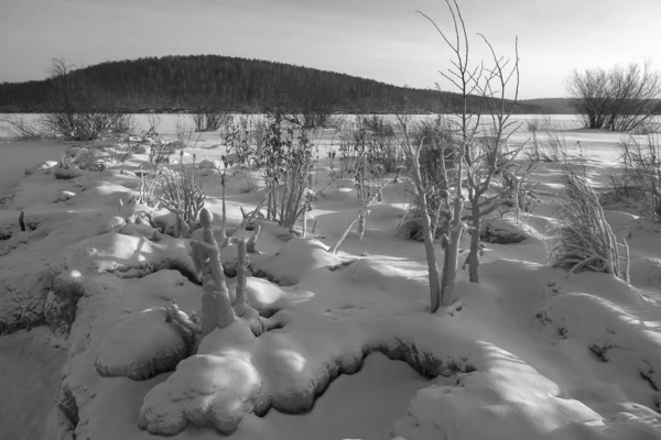 Winter Erkältung Schneebedeckte Lichtung Die Büsche Waren Mit Eis Gefroren — Stockfoto