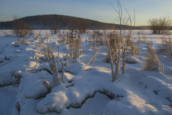 Winter Koud Met Sneeuw Bedekte Glade Struiken Waren Bevroren Met — Stockfoto