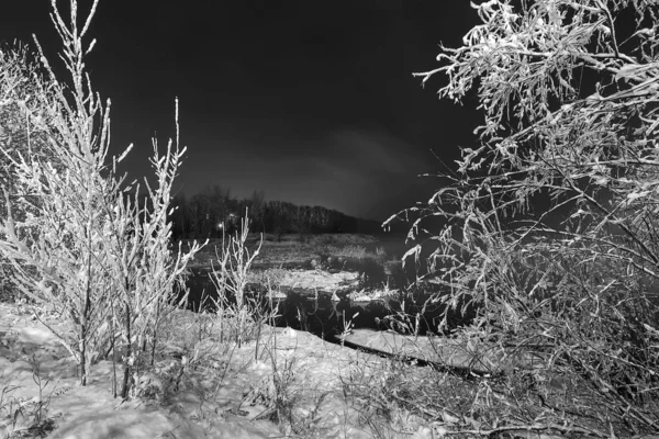 Tél Fagy Éjt Köd Fákat Bokrokat Sűrű Homokfagy Borítja Sötétkék — Stock Fotó