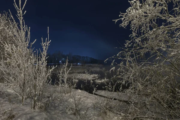 Winter Frost Nacht Nebel Bäume Und Sträucher Sind Vor Dunkelblauem — Stockfoto