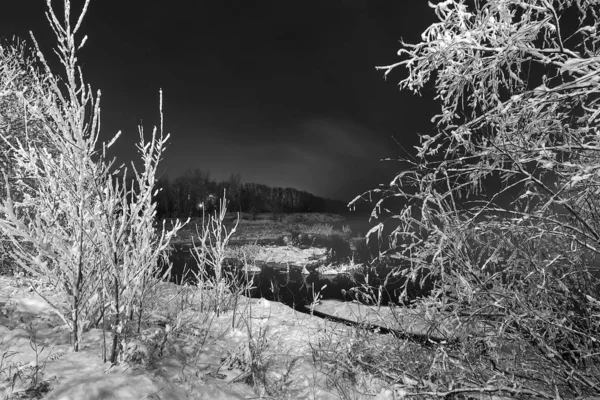 Invierno Escarcha Buenas Noches Niebla Árboles Arbustos Están Cubiertos Espesas Fotos de stock