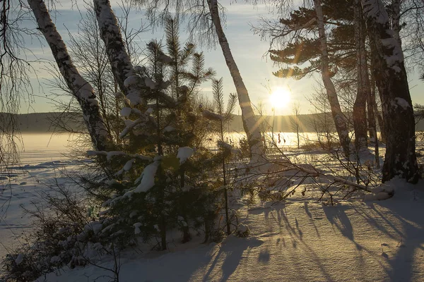 Ostsibirien Baikalregion Winter Tag Strahlende Tiefstehende Sonne Ufer Des Sees — Stockfoto