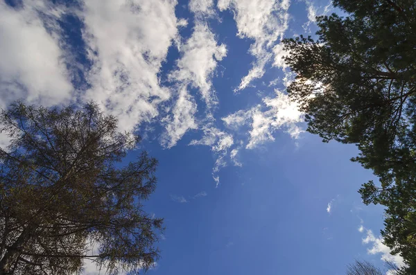 Eastern Siberia Spring Blue Sky Large Cumulus Cirrus Contrasting Clouds — Stock Photo, Image