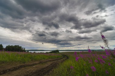 Doğu Sibirya. Baykal bölgesi. Yaz ortası. Geçenlerde yağmur yağdı. Tarla Ivan çayı ile kaplanmış. Uzakta büyük bir göl var. Yoğun kümülüs bulutları. Islak köy yolu.