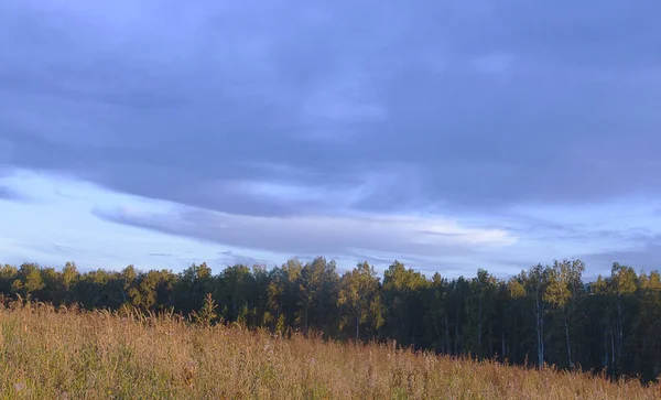 Östra Sibirien Bajkalregionen Hösten Solnedgång Gul Glänta Bakgrunden Björkskog Molnblå — Stockfoto