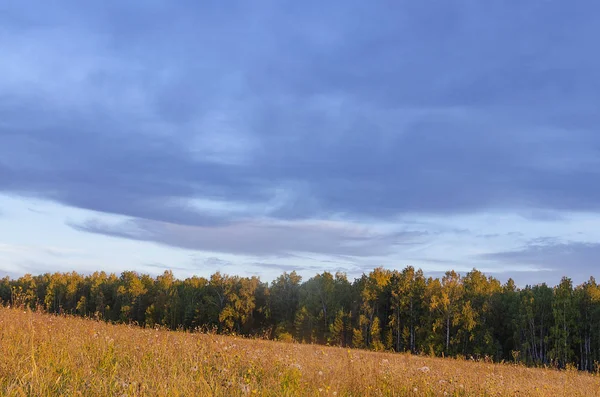 Siberia Oriental Región Baikal Otoño Puesta Sol Brida Amarilla Fondo —  Fotos de Stock