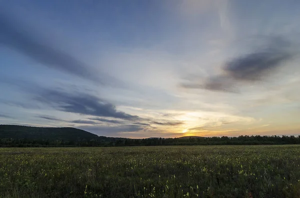 Eastern Siberia Baikal Region Sun Summer Sunset Field Covered Grass 스톡 사진
